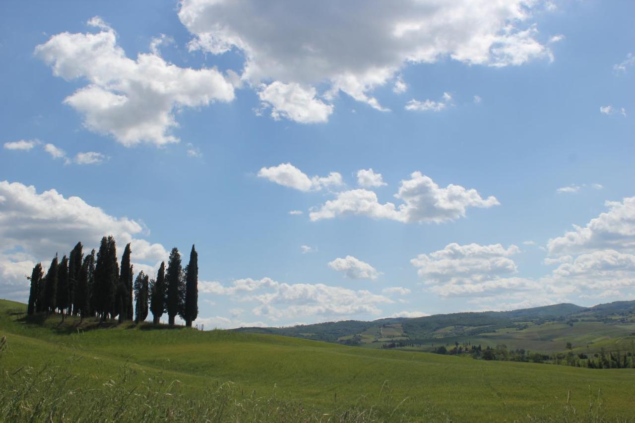 La Casina Di Nonna Lola Villa Castiglione dʼOrcia Dış mekan fotoğraf